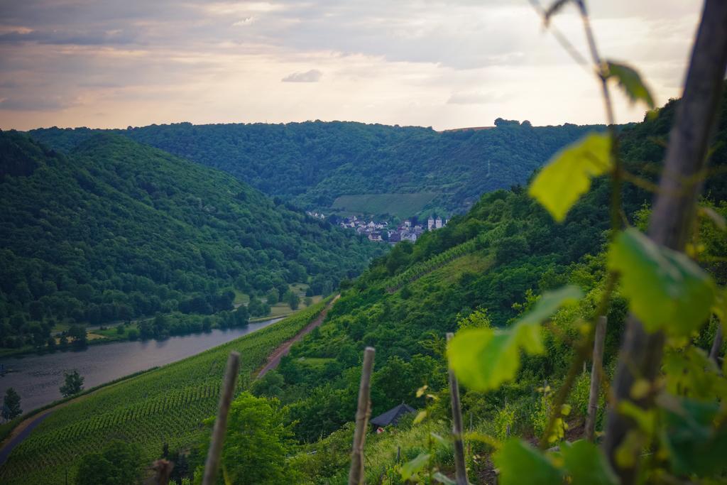 Hotel Sewenig Müden Zewnętrze zdjęcie